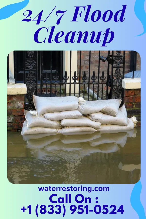 24/7 Flood Cleanup in Wildwood Crest, NJ