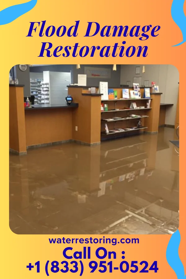 Flood Damage Restoration in Wildwood Crest, NJ