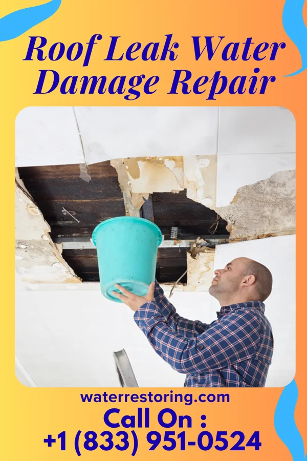 Roof Leak Water Damage Repair in Wildwood Crest, NJ