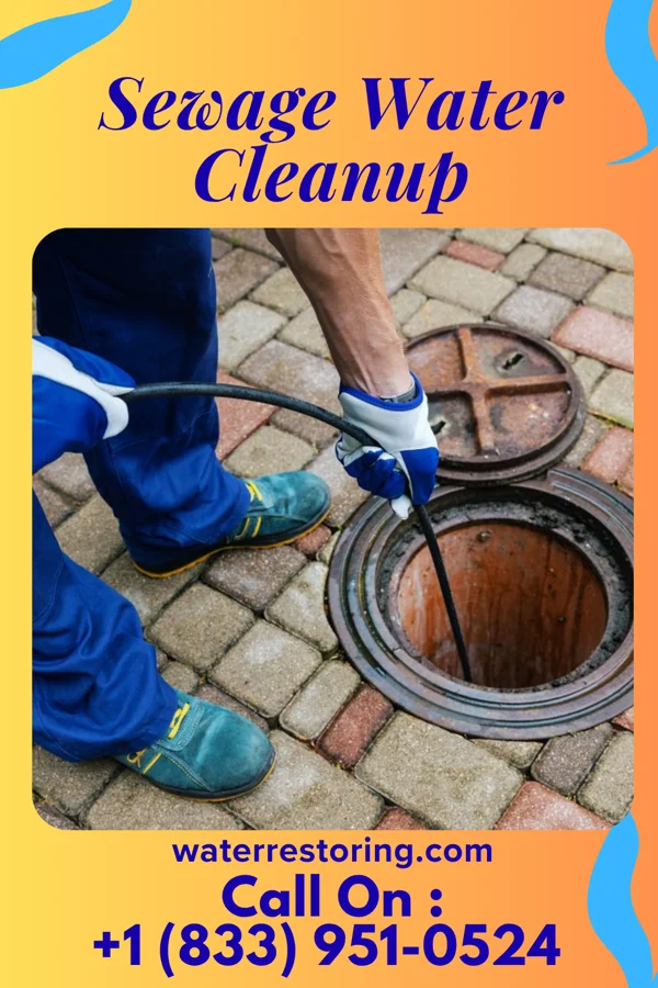 Sewage Water Cleanup in Wildwood Crest, NJ