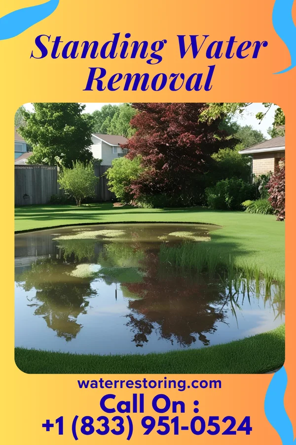 Standing Water Removal in Wildwood Crest, NJ